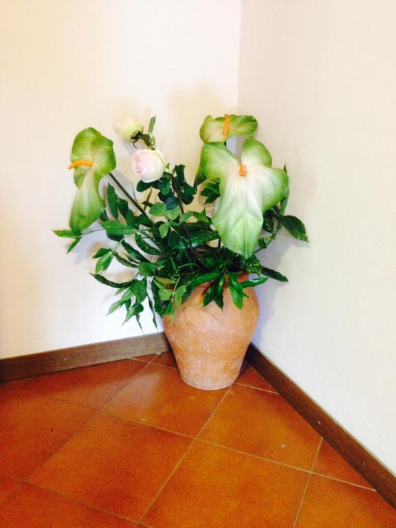 Il Ghiro B&B Riccò del Golfo di Spezia Exterior foto