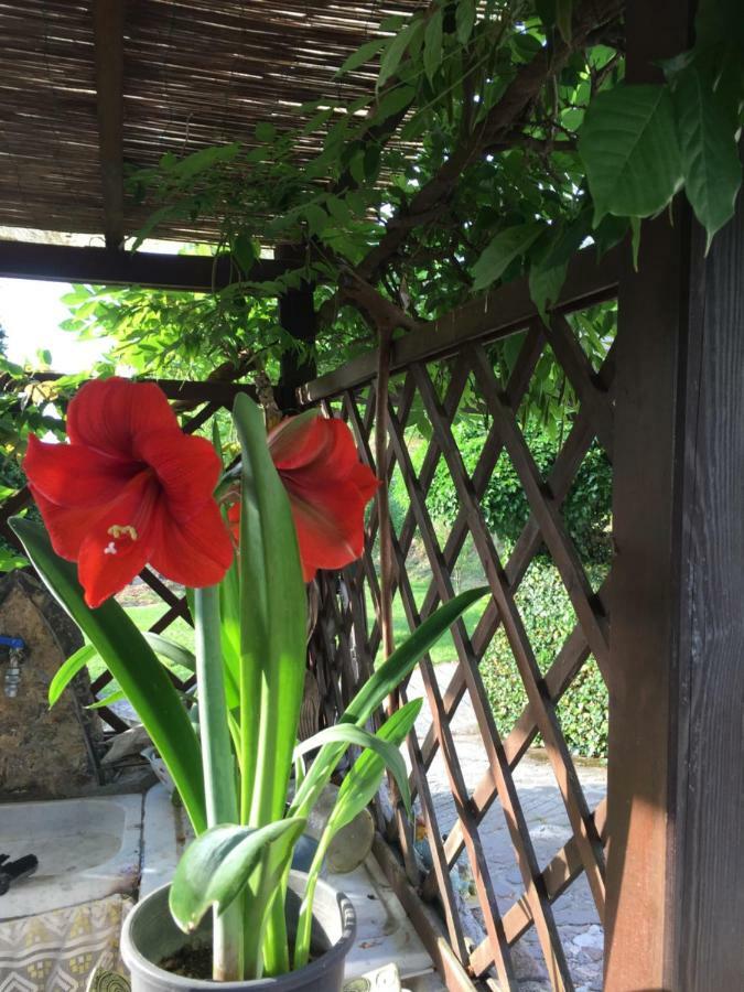 Il Ghiro B&B Riccò del Golfo di Spezia Exterior foto